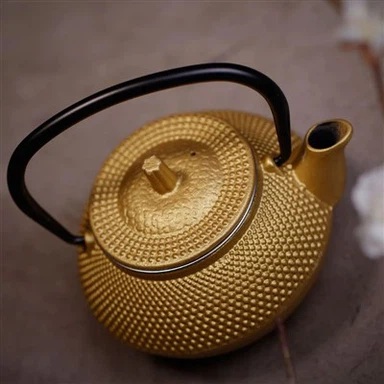 Veleprodaja crnog japanskog Tetsubin čajnika od lijevanog željeza